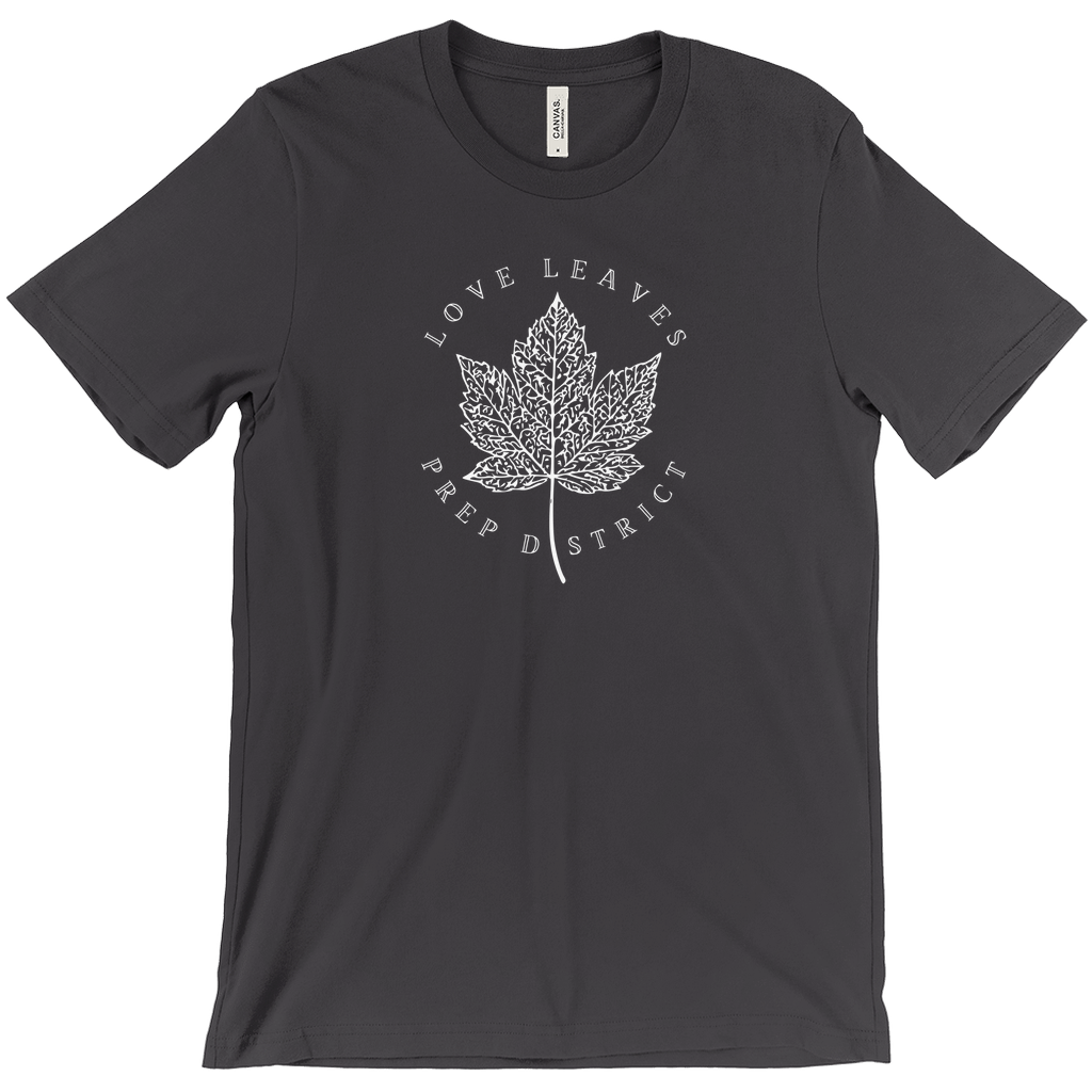 Apparel-DTG-Tshirt-Bella-3001-XL-DarkGrey-Mens-CF-LS-20250924220224461