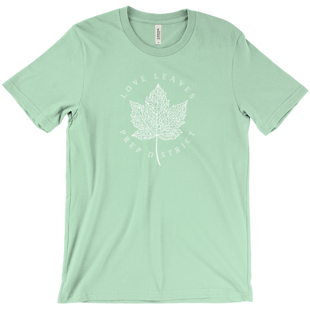 Apparel-DTG-Tshirt-Bella-3001-XL-Mint-Mens-CF-LS-20250924220224464